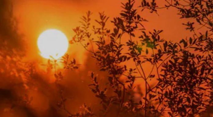 January 2025 Breaks Global Temperature Records