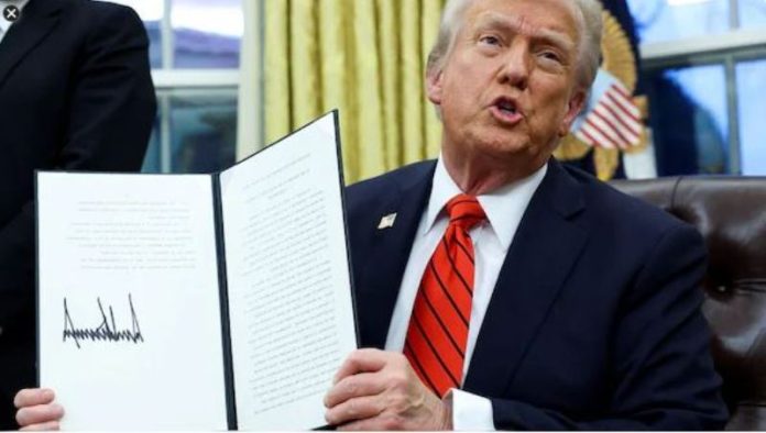 Trump Clarifies Tariff Stance, Modi Backs His Ukraine Peace Efforts