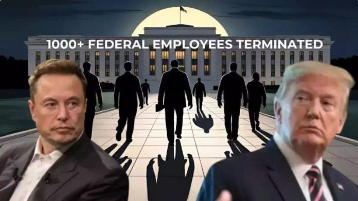 Mass Layoffs in Federal Agencies Under Trump and Musk