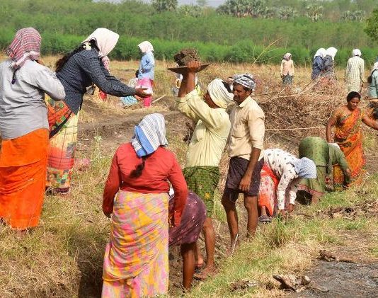 Study Shows MGNREGA Boosts Livelihood and Forest Cover in Himachal Pradesh