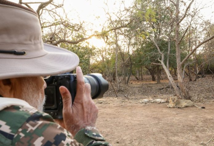 PM Modi Takes Lion Safari in Gir on World Wildlife Day